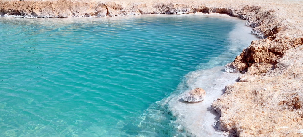 Oasis de Siwa